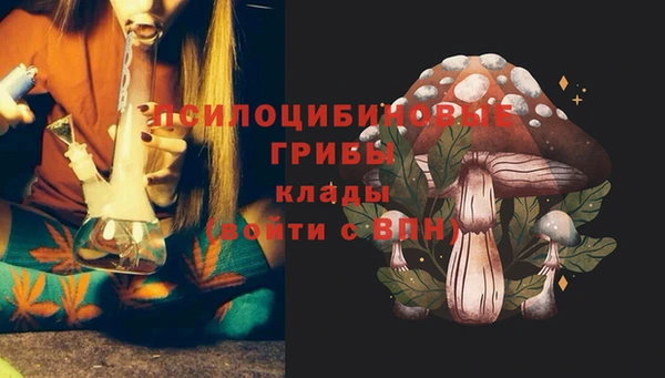 мет Аркадак