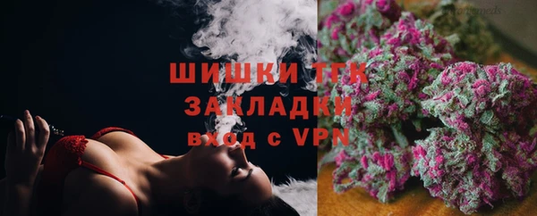 крисы Галич