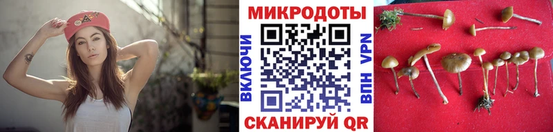 Псилоцибиновые грибы Psilocybine cubensis  сайты даркнета телеграм  Заполярный 